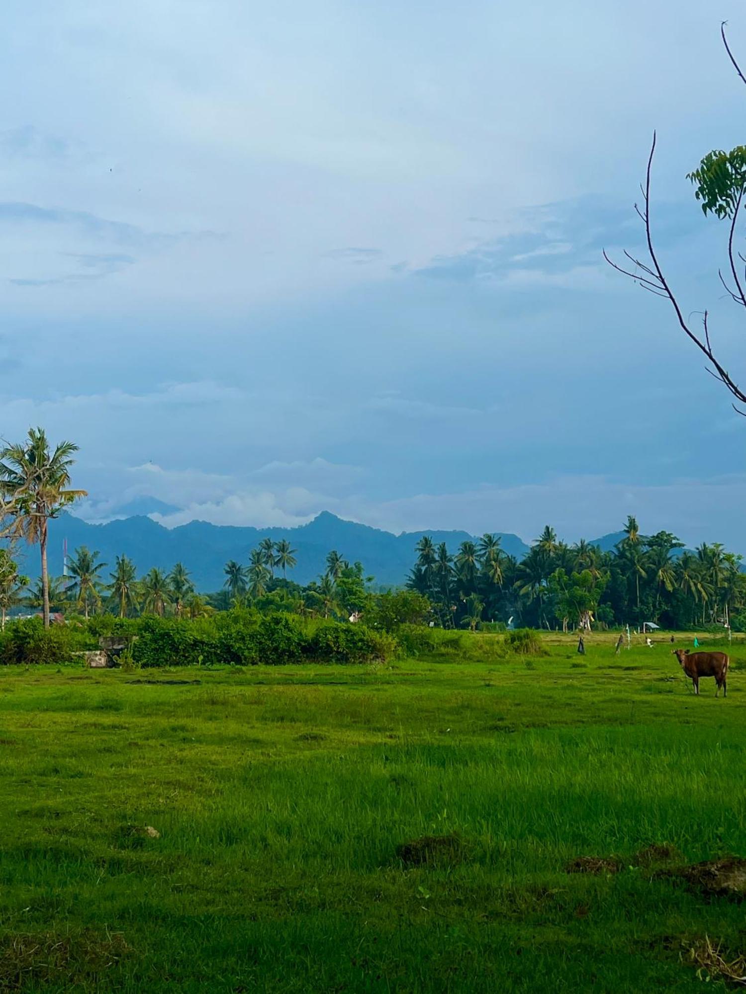 Rinjani Beach Eco Resort Танджунг Экстерьер фото