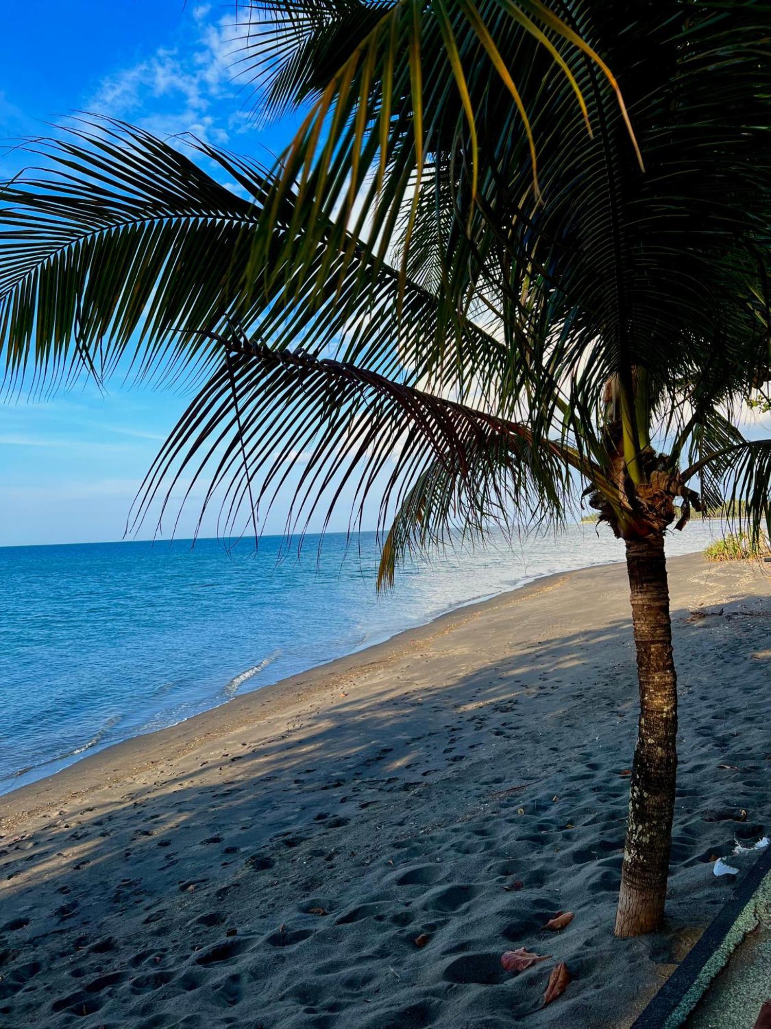 Rinjani Beach Eco Resort Танджунг Экстерьер фото